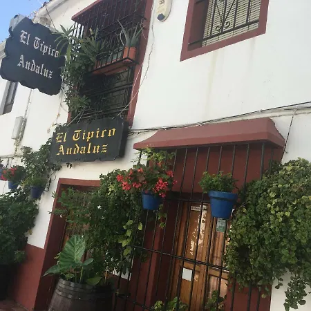 Estepona Lägenhet *